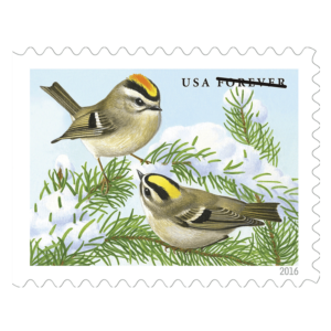 Songbirds in Snow Stamps