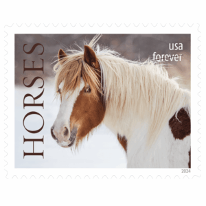 2024 Horses Stamps