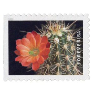 Cactus Flowers Stamps