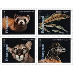 Endangered Species Stamps