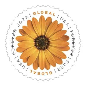 Global: African Daisy Stamps