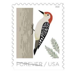 Birds in Winter Stamps