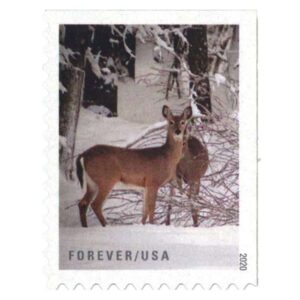 Winter Scenes Stamps
