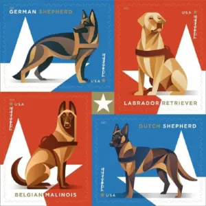2019 Military Working Dogs