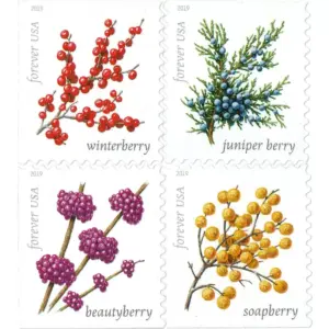 Winter Berries Stamps