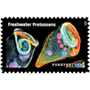 Life Magnified Stamps