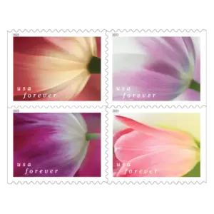 Tulip Blossoms Stamps
