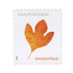 2025 Forever Postcard Rate - Vibrant Leaves