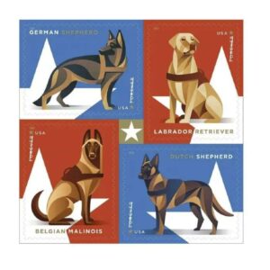 Military Working Dogs