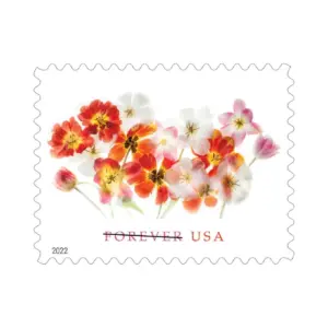 Tulips Stamps