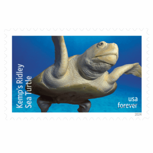 Protect Sea Turtles Stamps