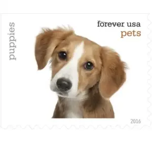 Pets Celebrate Animals Stamps